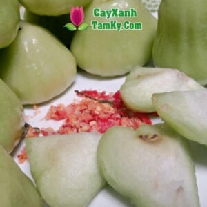 cay-man-xanh-duong (1)