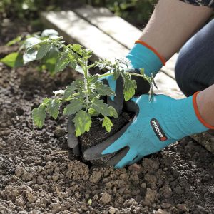 Găng tay làm vườn Gardena