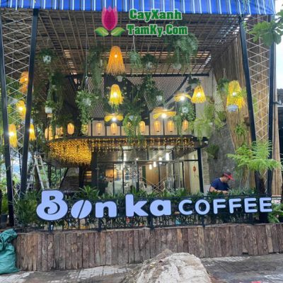 thi-cong-quan-cafe (54)