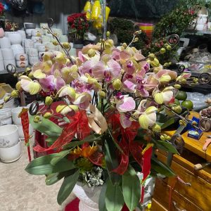 chau-lan-chung-tet (4)