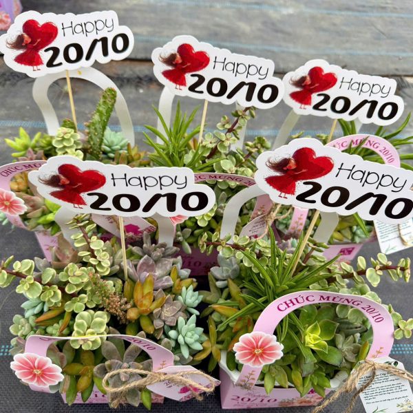 Giỏ hoa xinh làm quà tặng ngày 20/10 cho Phụ Nữ Việt Nam